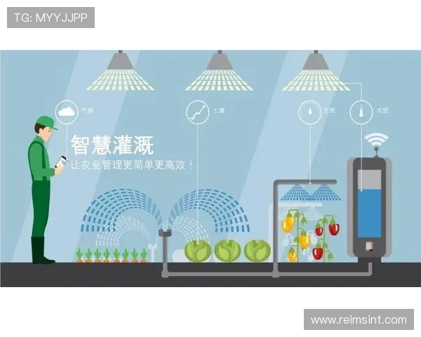 亚博开云平台的技术优势详解帮助游戏开发者降低开发成本提升效率